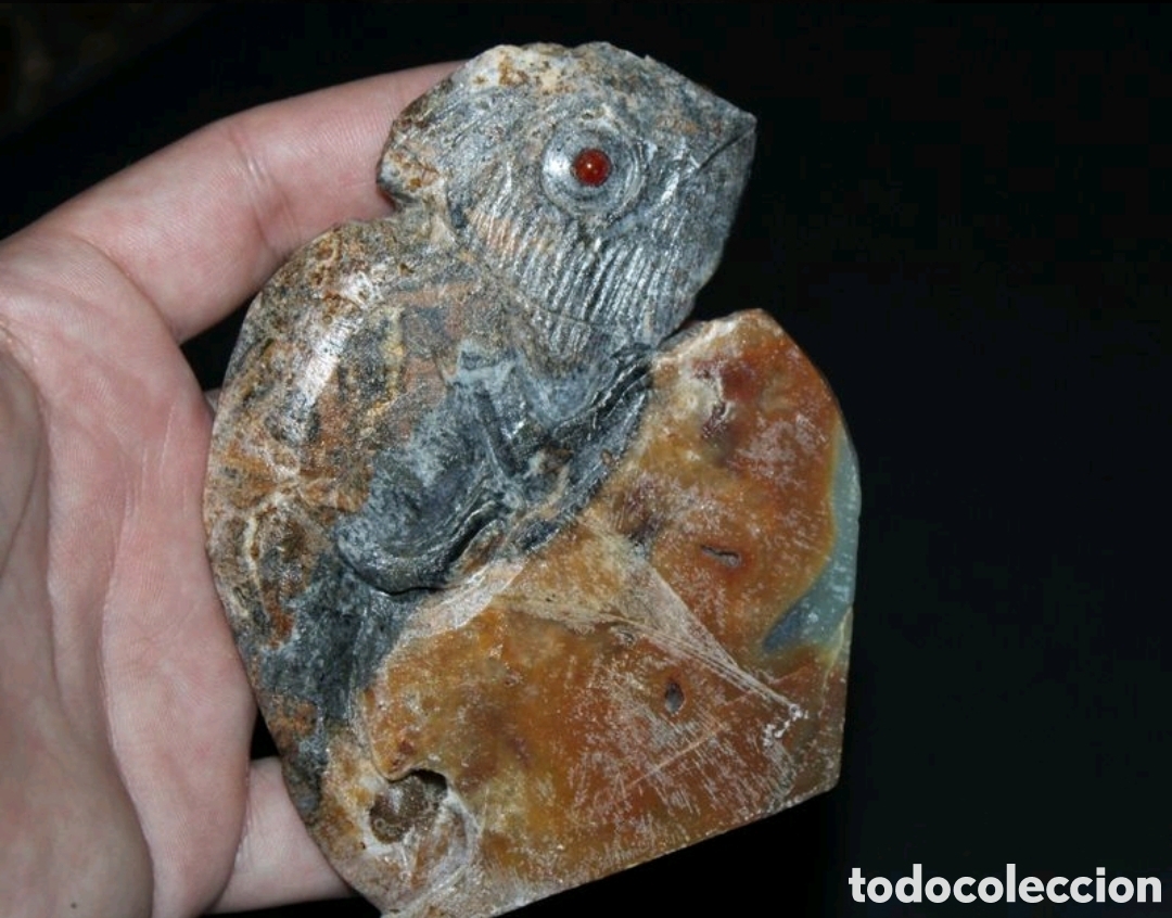 Arte: Camale&oacute;n piedra amaz&oacute;nica. - Foto 2
