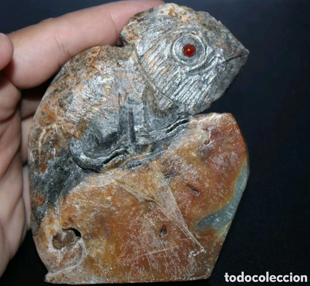 Arte: Camale&oacute;n piedra amaz&oacute;nica. - Foto 4