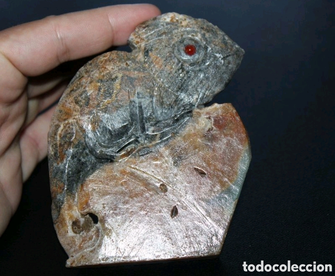 Arte: Camale&oacute;n piedra amaz&oacute;nica. - Foto 1