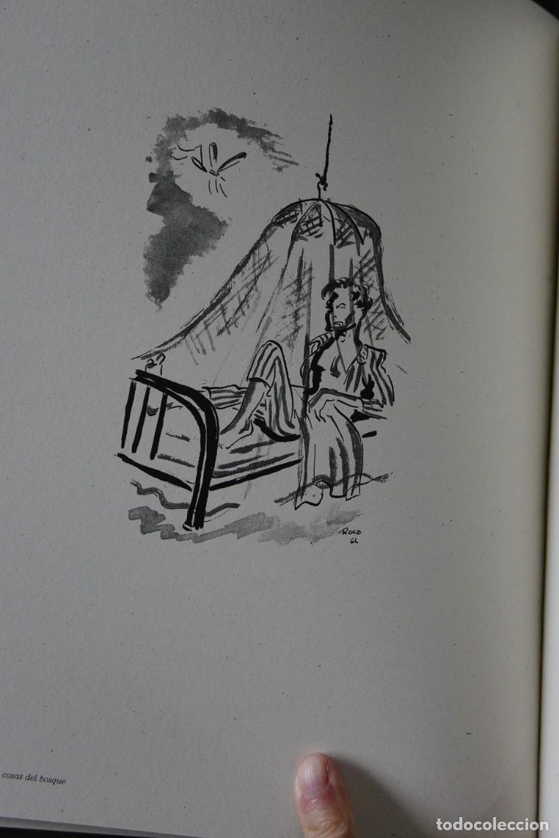 Arte: Cosas del bosque Fang - Foto 4