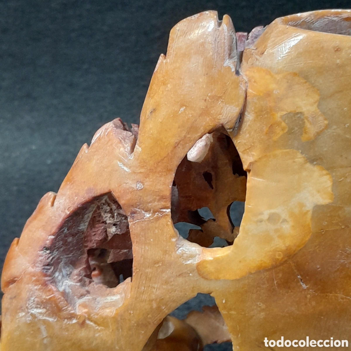 Zus&auml;tzliches Foto 2