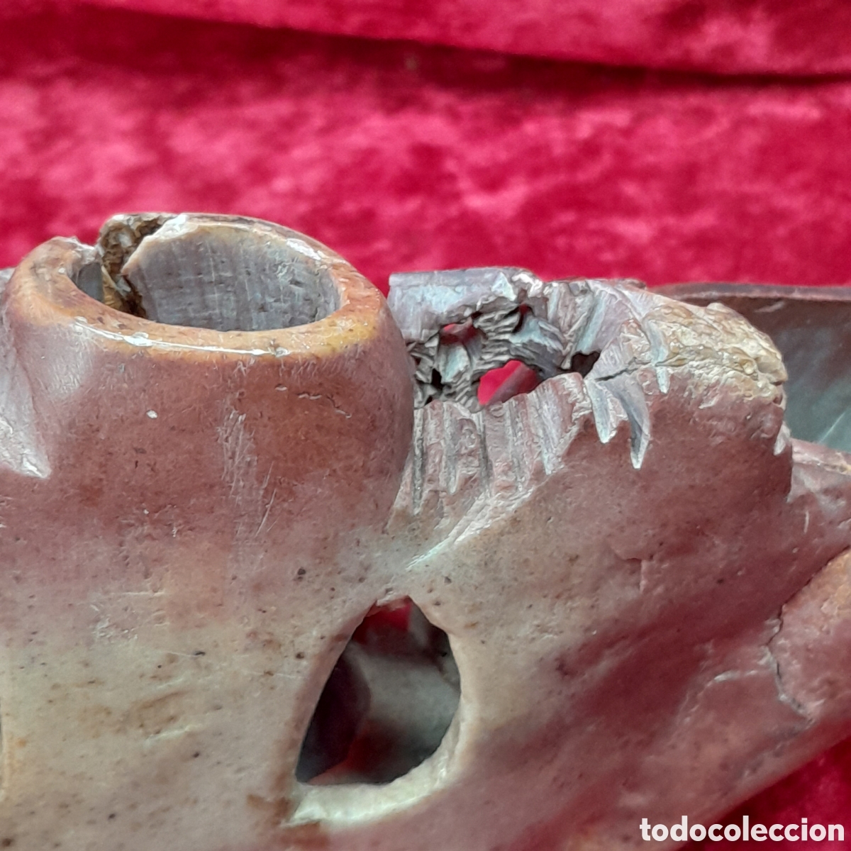 Zus&auml;tzliches Foto 5