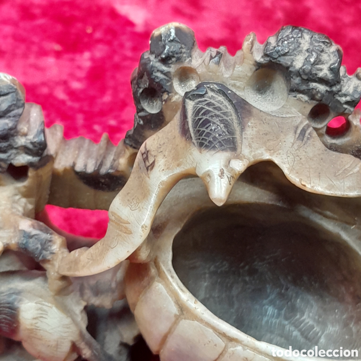 Zus&auml;tzliches Foto 5