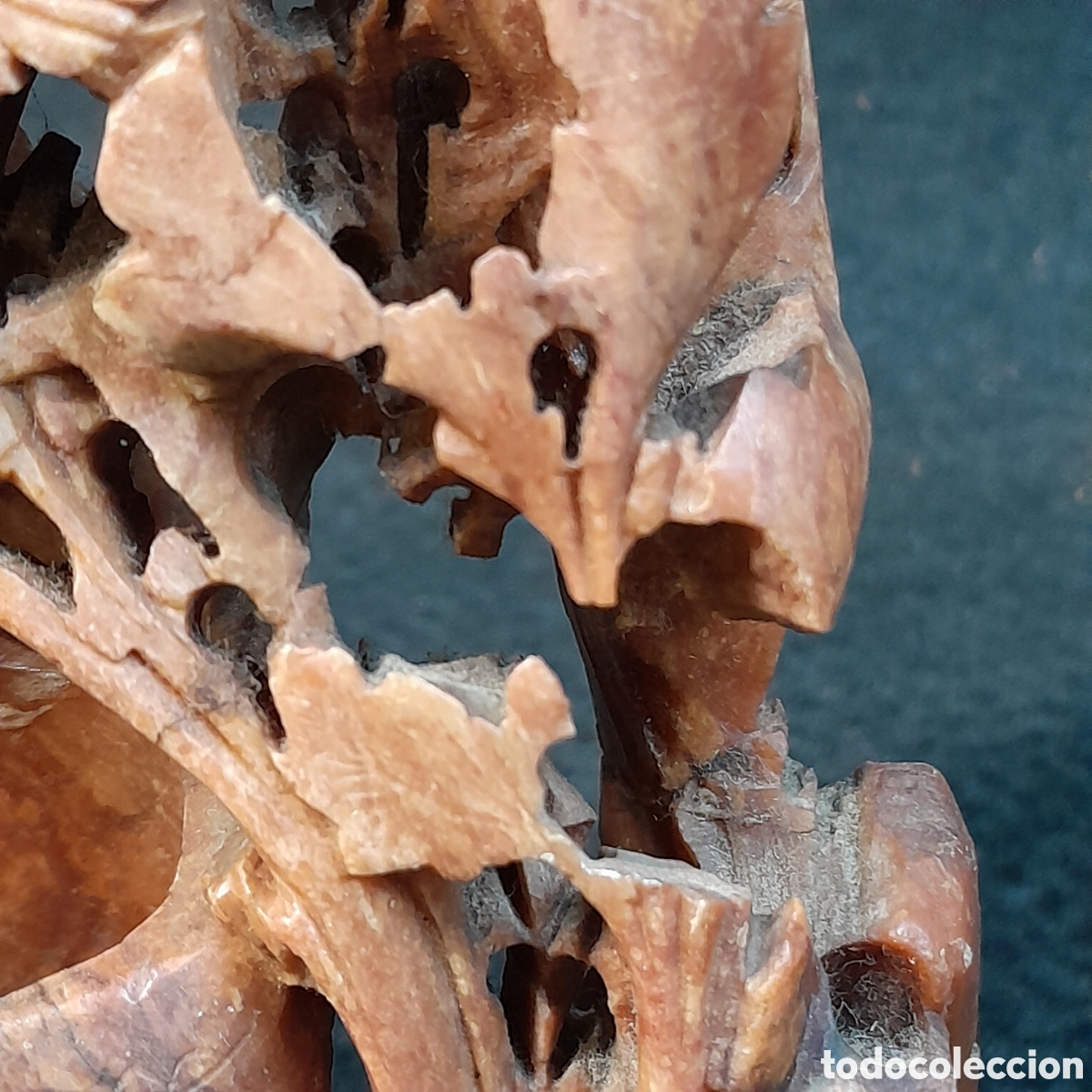 Zus&auml;tzliches Foto 4