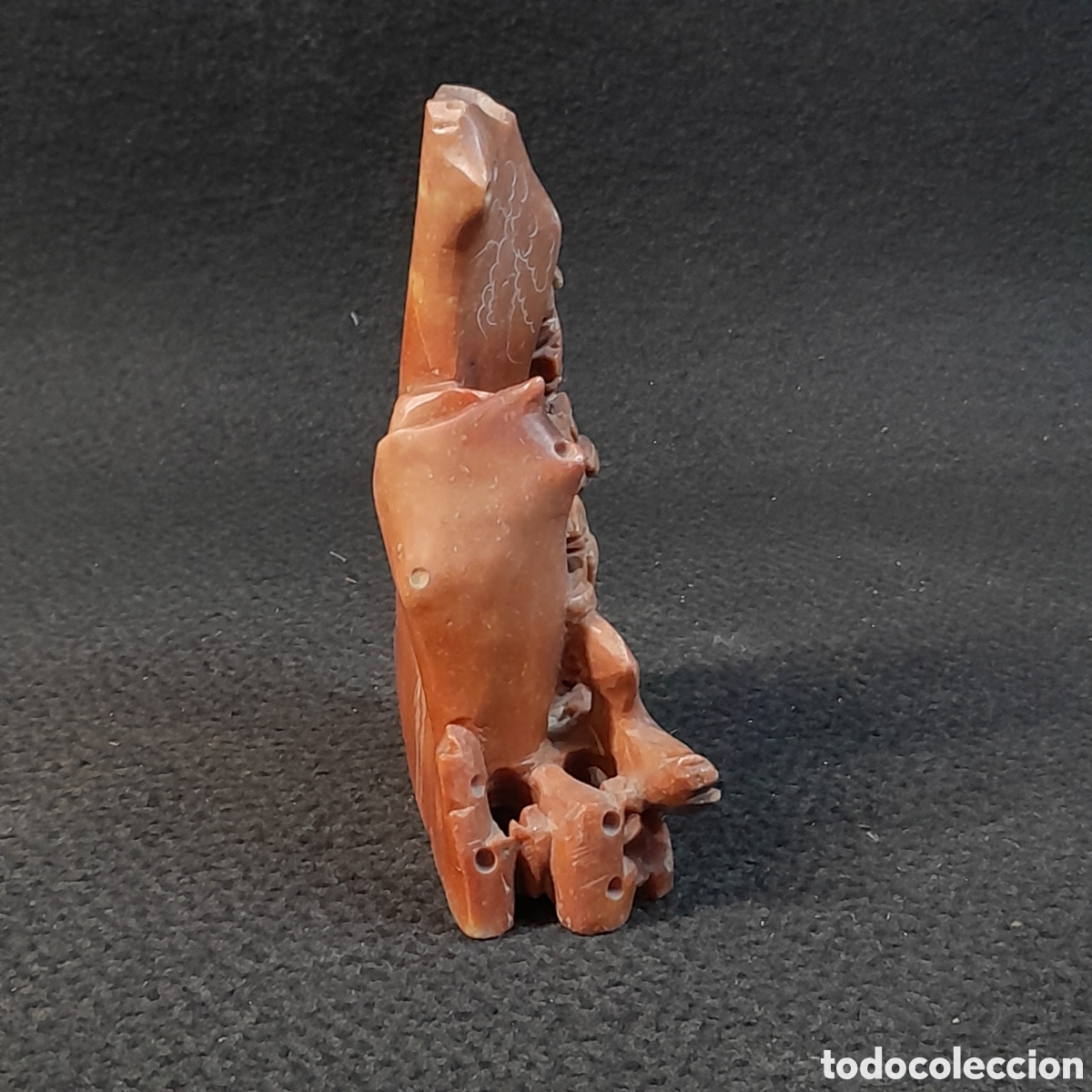 Zus&auml;tzliches Foto 5