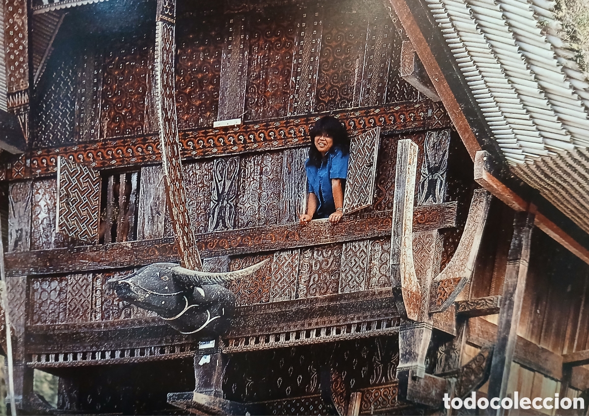 Arte: Tres paneles de los Toraja de Sulawesi - Foto 6