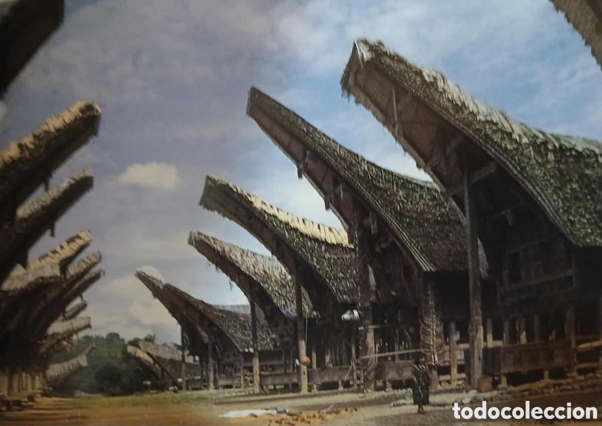 Arte: Tres paneles de los Toraja de Sulawesi - Foto 7