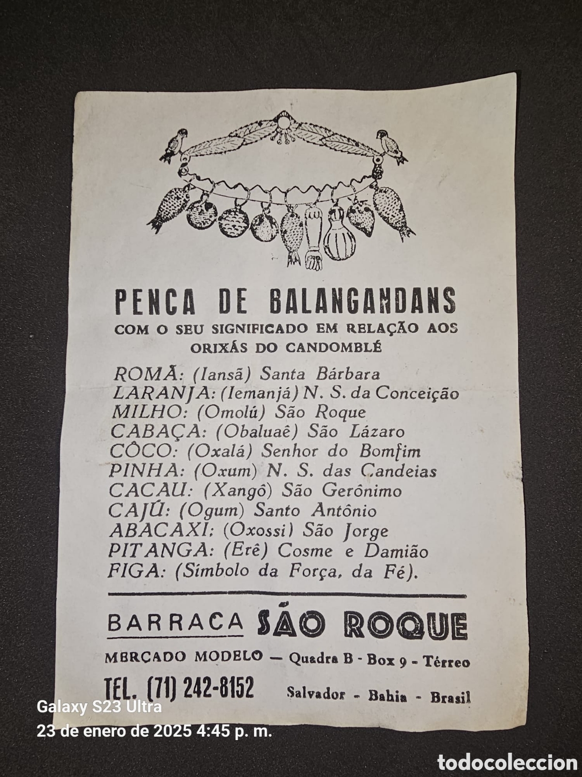 Arte: Penca de Balangadan Brasil. - Foto 2