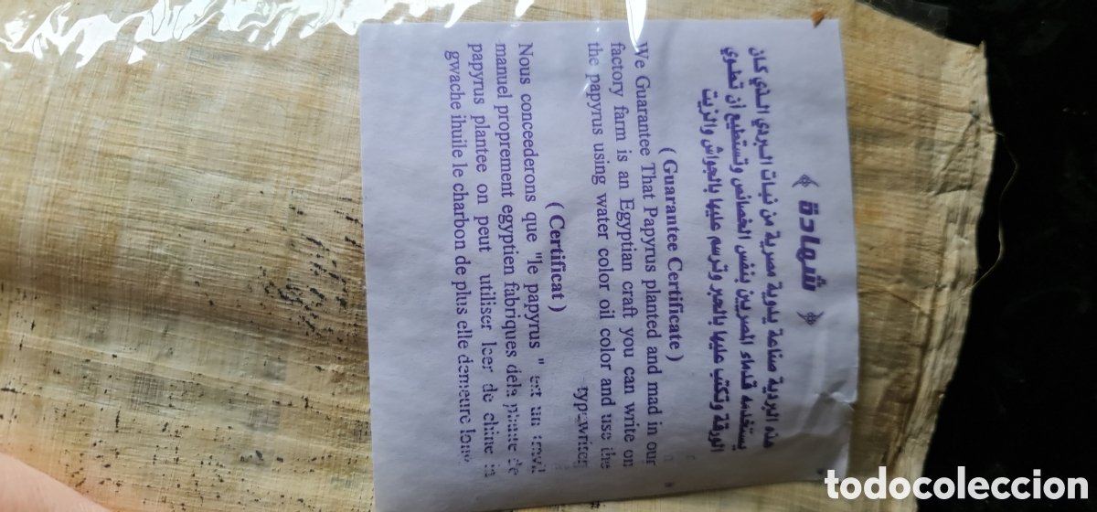 Arte: Papiro antiguo egipcio nuevo - Foto 4