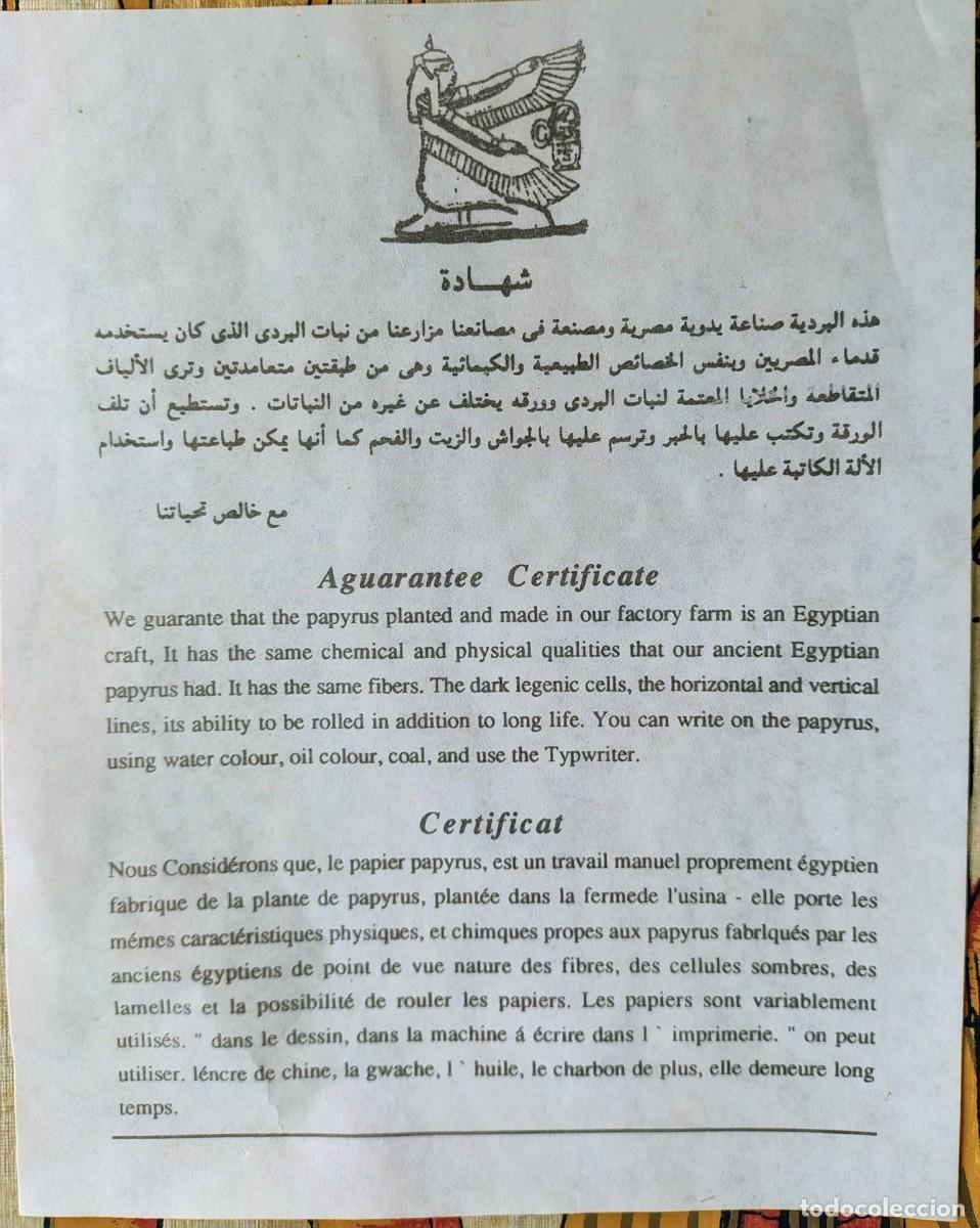 Arte: 4 Papiros egipcios con certificado. - Foto 3
