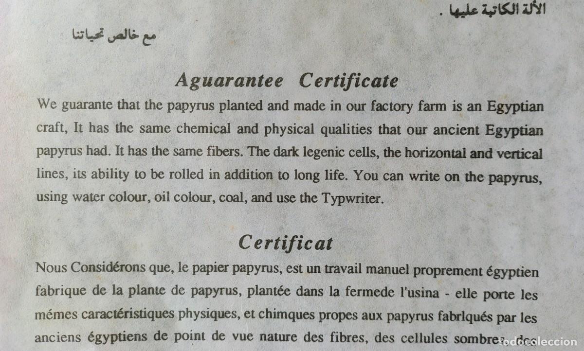 Arte: 4 Papiros egipcios con certificado. - Foto 4