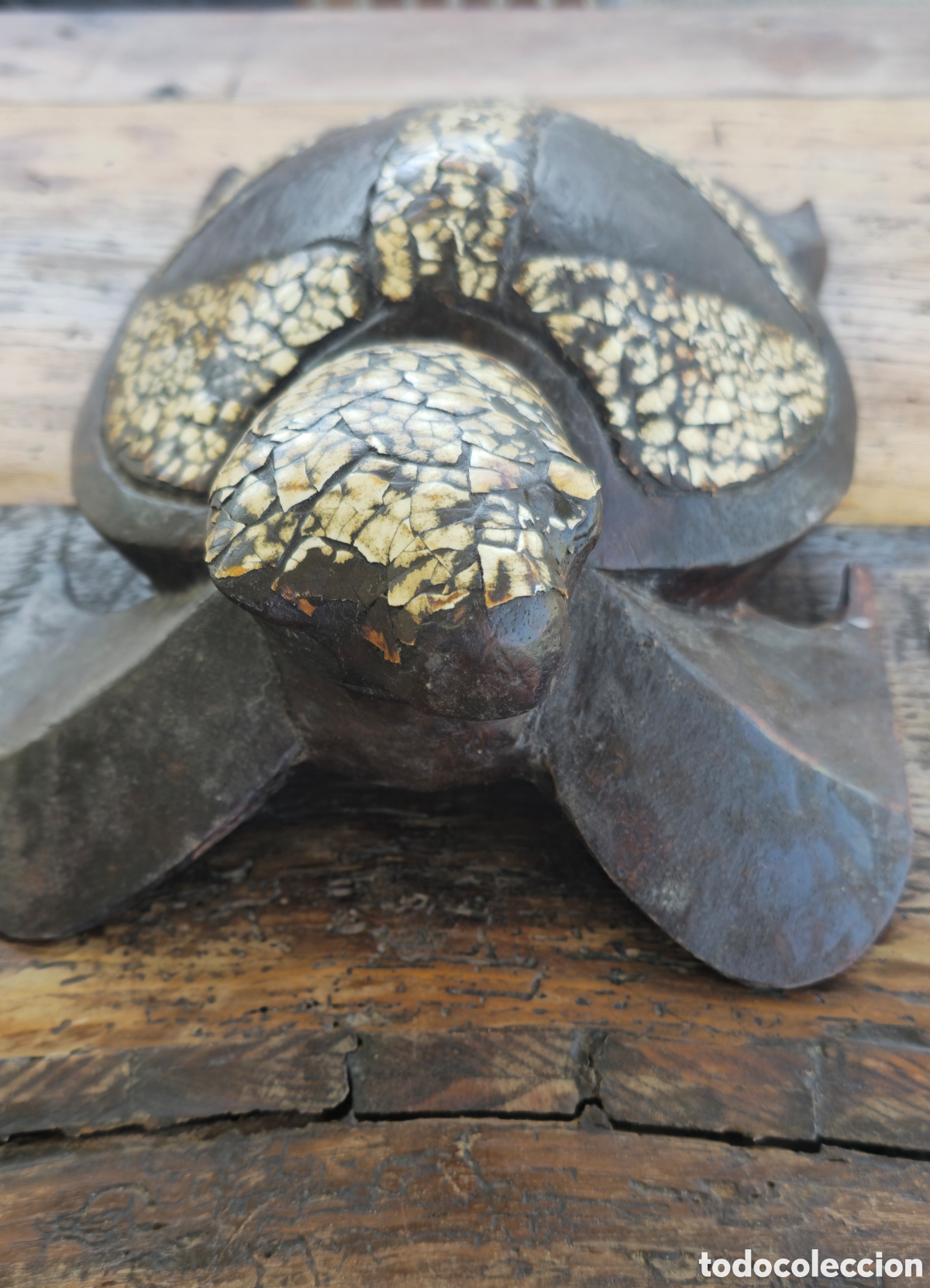 Arte: Tortuga madera y c&aacute;scara - Foto 2