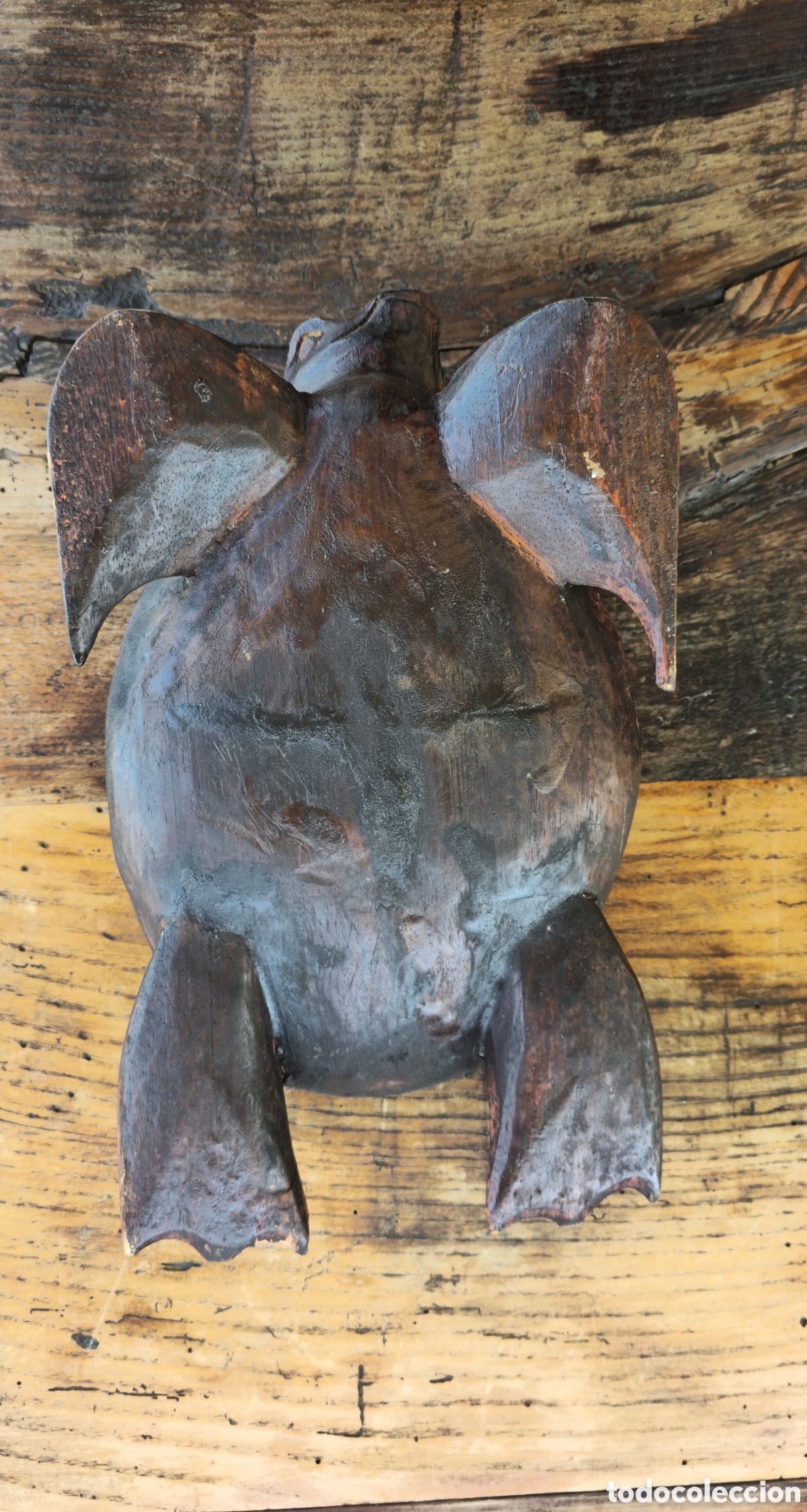 Arte: Tortuga madera y c&aacute;scara - Foto 3