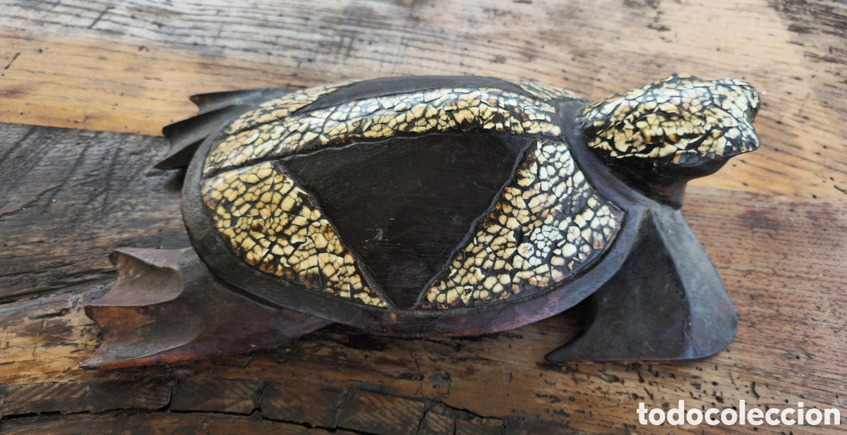 Arte: Tortuga madera y c&aacute;scara - Foto 4