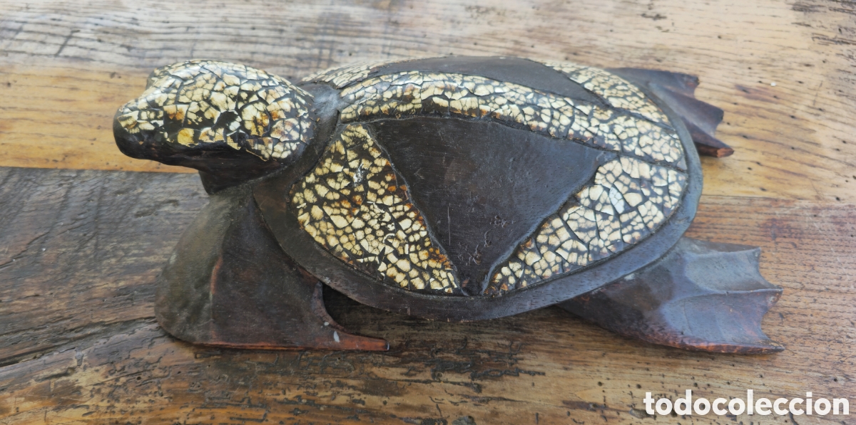 Arte: Tortuga madera y c&aacute;scara - Foto 5