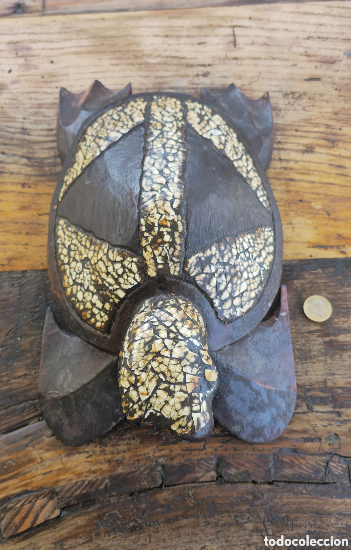 Arte: Tortuga madera y c&aacute;scara - Foto 1