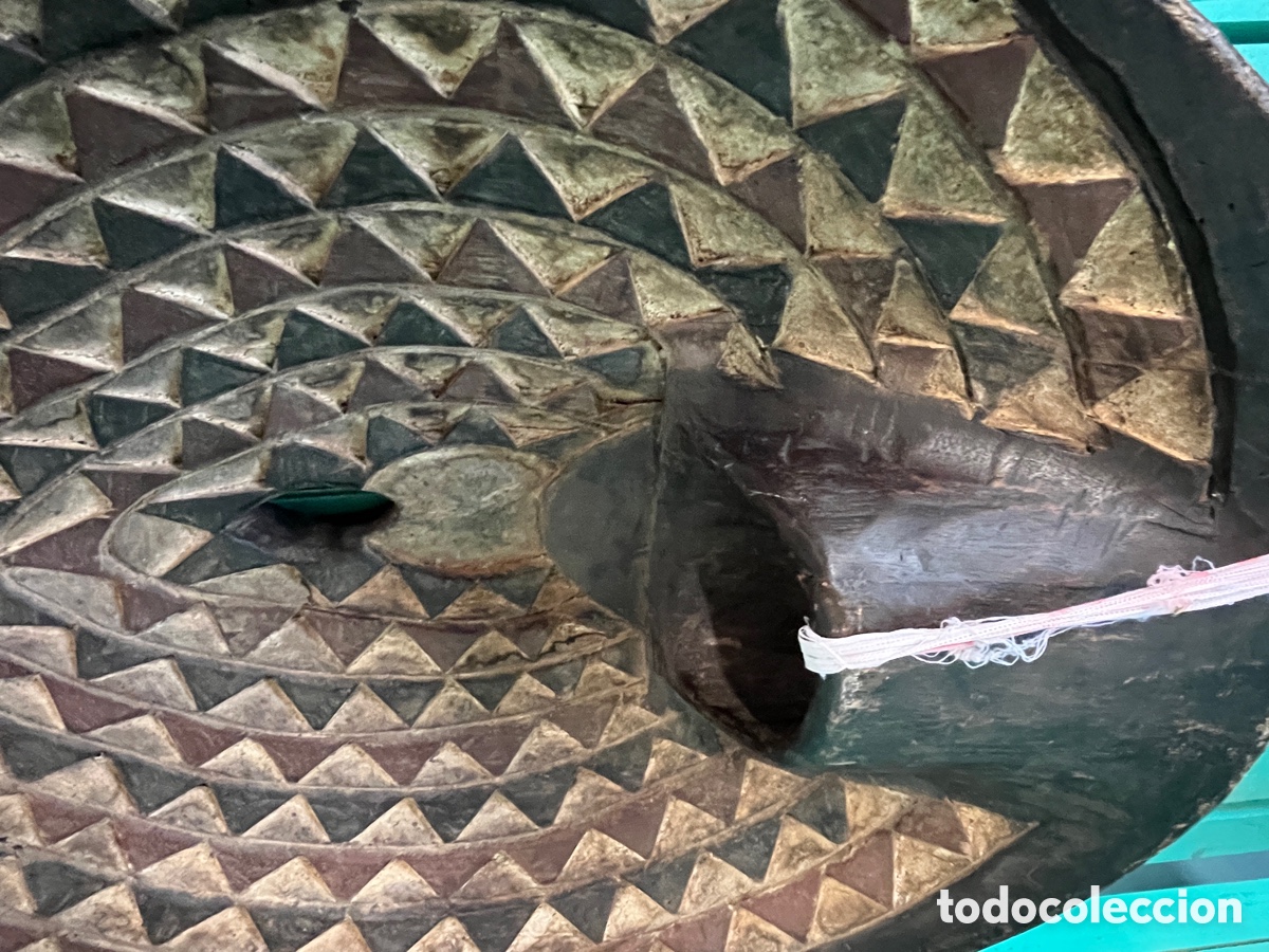 Arte: Escudo africano tallado en madera - Foto 8