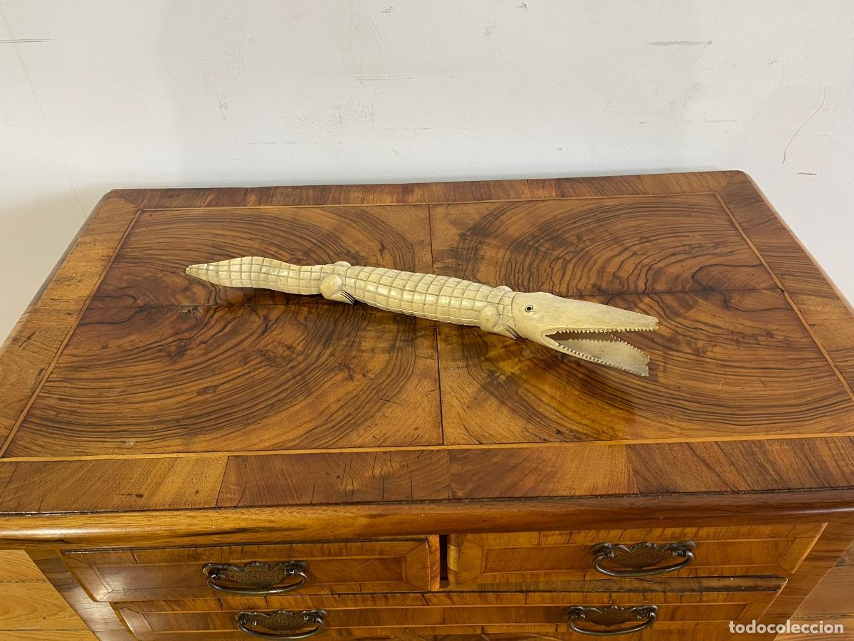 Arte: Escultura - Cocodrilo en materia c&oacute;rnea