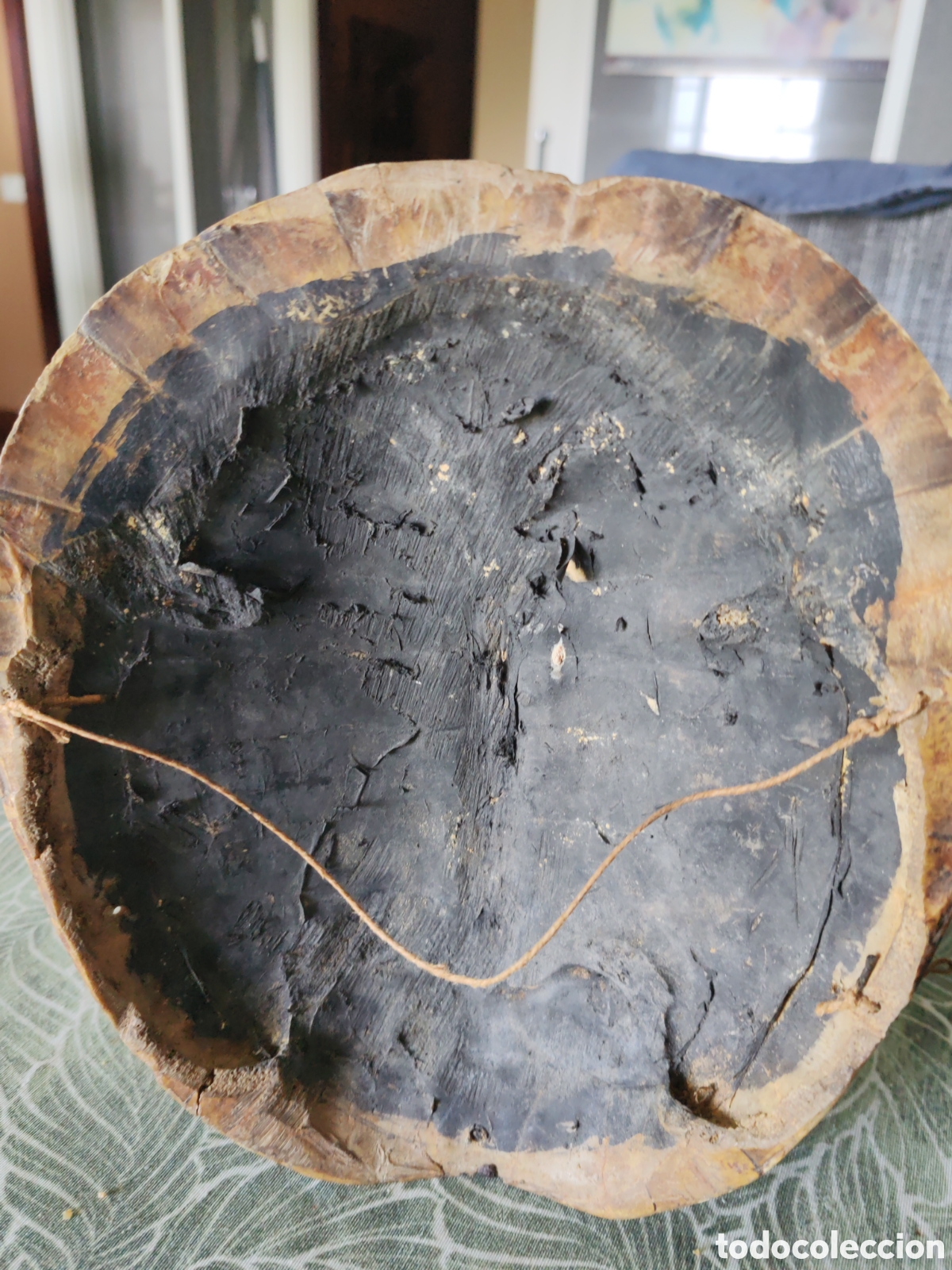 Arte: Caparaz&oacute;n de tortuga &eacute;tnico - Foto 2