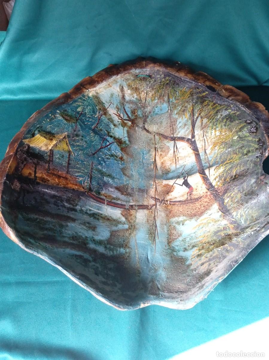 Arte: Antiguo CAPARAZ&Oacute;N PINTADO.