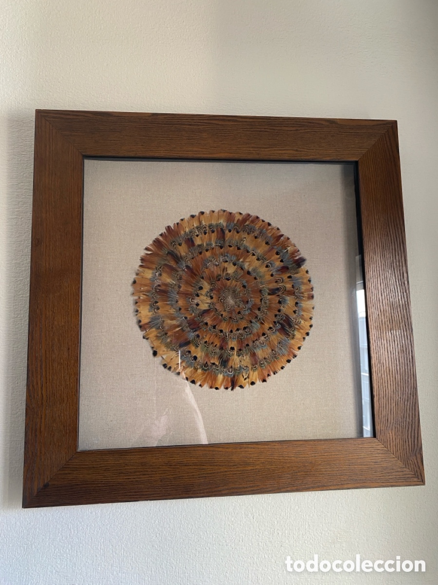 Arte: CUADRO CON PLUMAS DE PAVO REAL