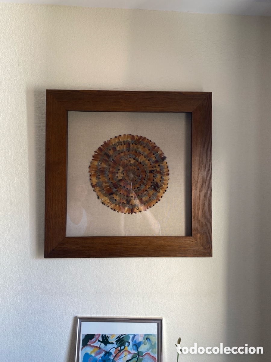 Arte: CUADRO PLUMAS DE PAVO REAL. - Foto 3
