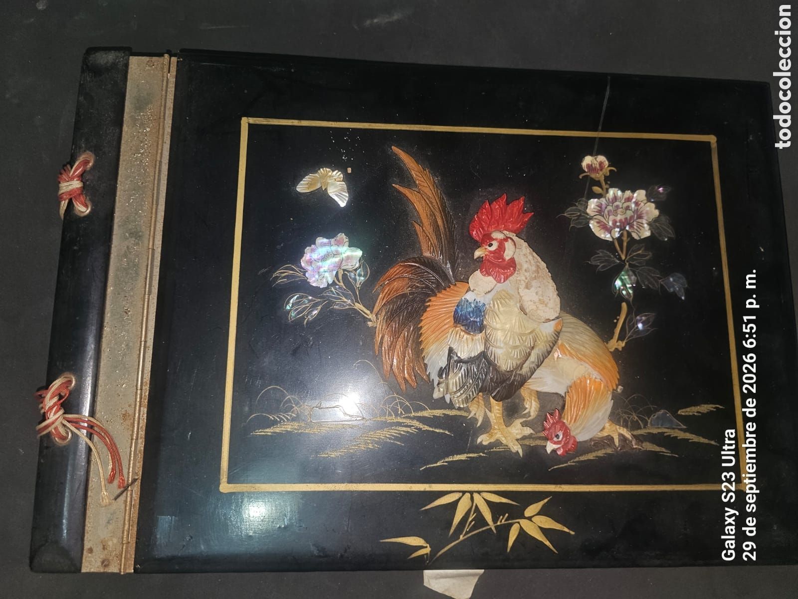 Arte: &Aacute;lbum de fotos Saigon (Vietnam).