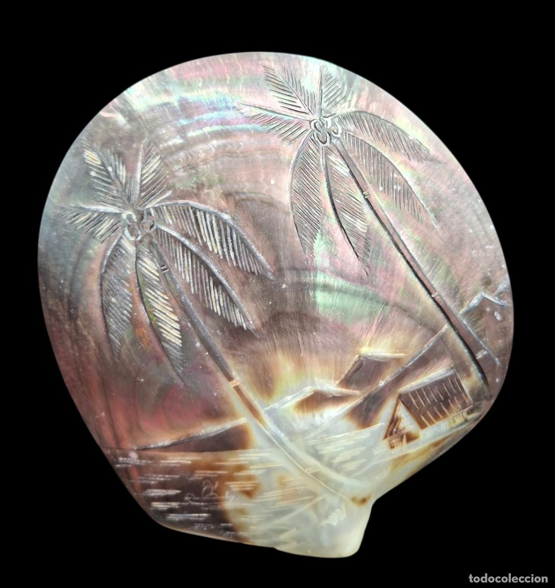 Arte: CONCHA DE NACAR TALLADA A MANO CON PALMERAS