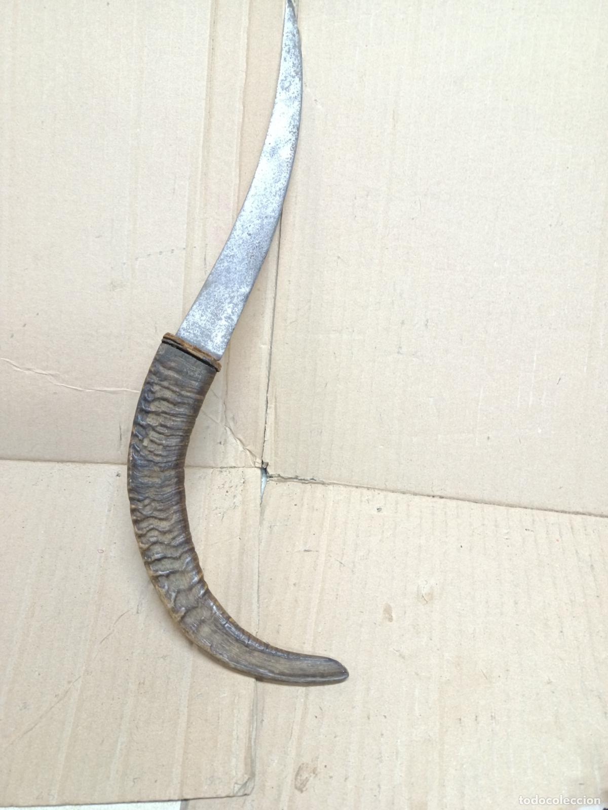 Arte: CUCHILLO DAGA GUMIA, TUAREG, CON MANGO DE CUERNO DE ANTILOPE, CABRA, NORTE DE AFRICA, ARTE ETNICO