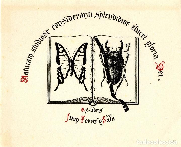 Arte: Ex Libris para Juan Torres y Sala - Foto 1