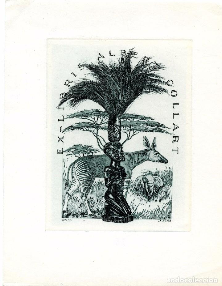 Arte: Fern&aacute;ndez S&aacute;ez, J. Ex Libris para Albert Collart - Foto 1