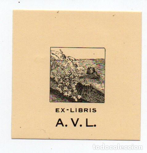 Arte: EX-LIBRIS DE ANTERO VIERIA DE LEMOS - AUTOR LUISA - Foto 1
