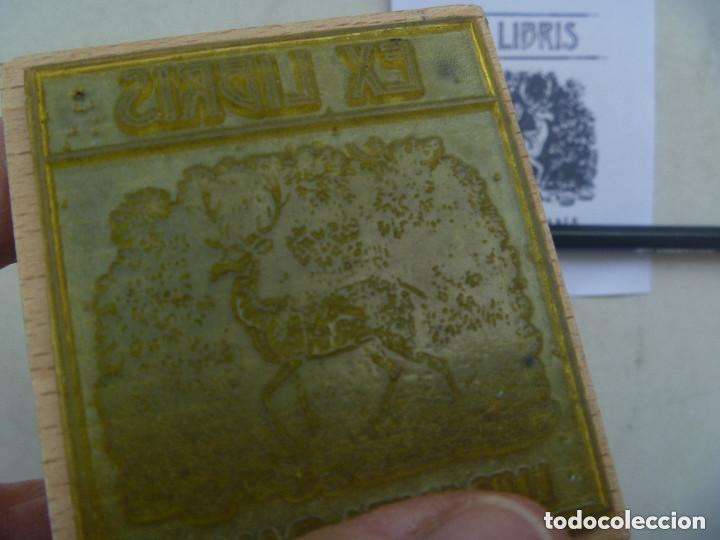 Arte: TAMPON DE CAUCHO CON EXLIBRI REPRESENTANDO UN CIERVO. EN ESTUCHE. - Foto 3