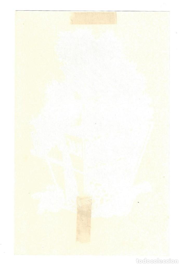 Arte: EX- LIBRIS.- H. DE BOOM. ARTE. LIBROS - Foto 2