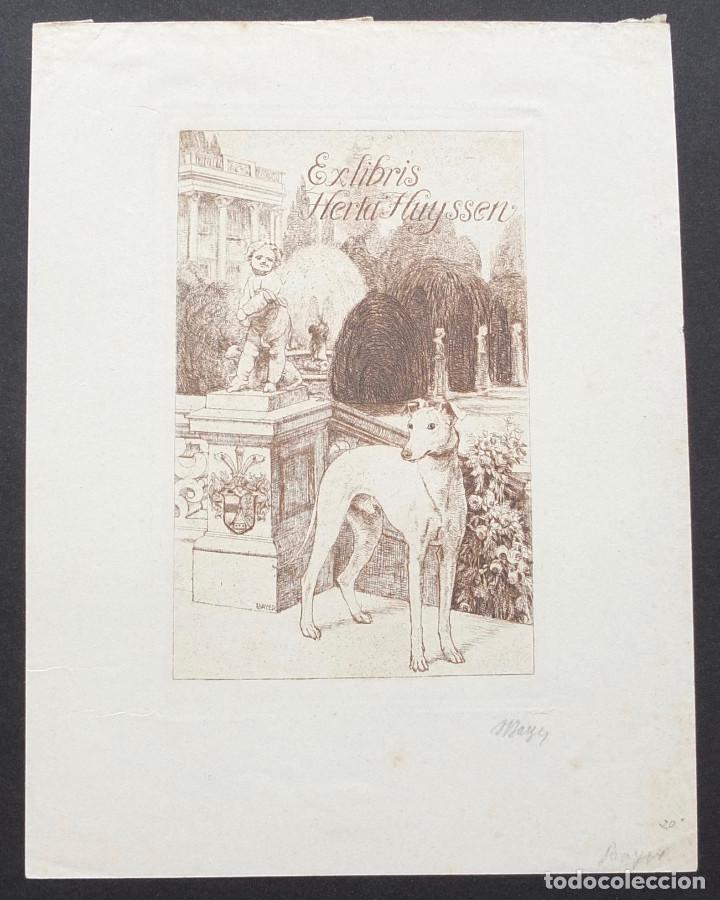 Arte: Colecci&oacute;n de EX LIBRIS var&iacute;os paises - Foto 7