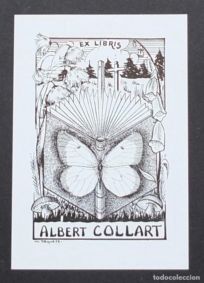 Arte: Colecci&oacute;n de EX LIBRIS var&iacute;os paises - Foto 27