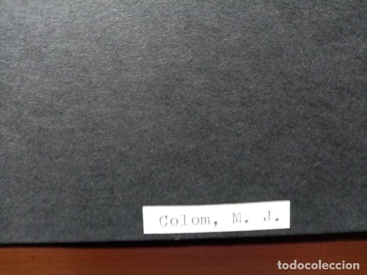 Arte: LOTE DE 81 EXLIBRIS VARIOS - Foto 17