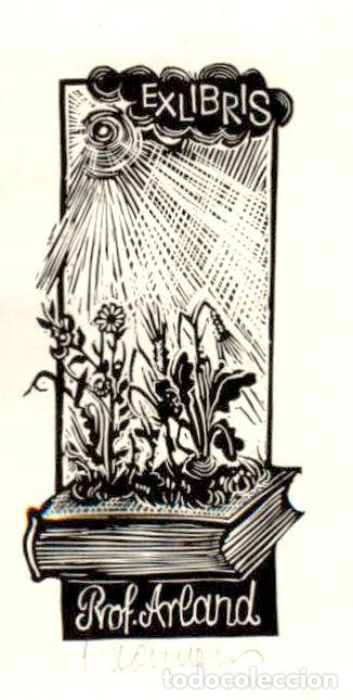 Arte: EXLIBRIS Bookplate Sigmund Hammermann Attenborg para Prof. Arland 8 x 5 cms - Foto 1