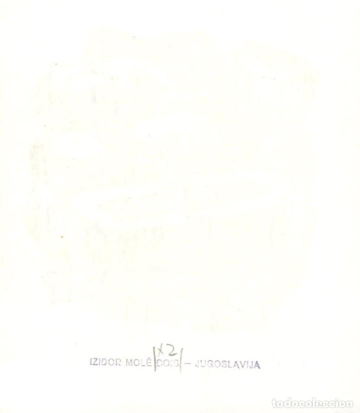 Arte: EXLIBRIS Bookplate Izidor Mole - Irma Zeitner 12 x 11 cms Ex-libris - Foto 2