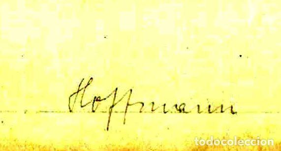 Arte: EXLIBRIS Bookplate Hoffmann para Paul Singer 17 x 9 cms Ex-libris - Foto 2