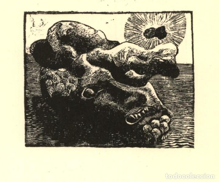 Arte: EXLIBRIS Bookplate &ndash; A determinar - 17 x 12 cms Ex-libris - Foto 1