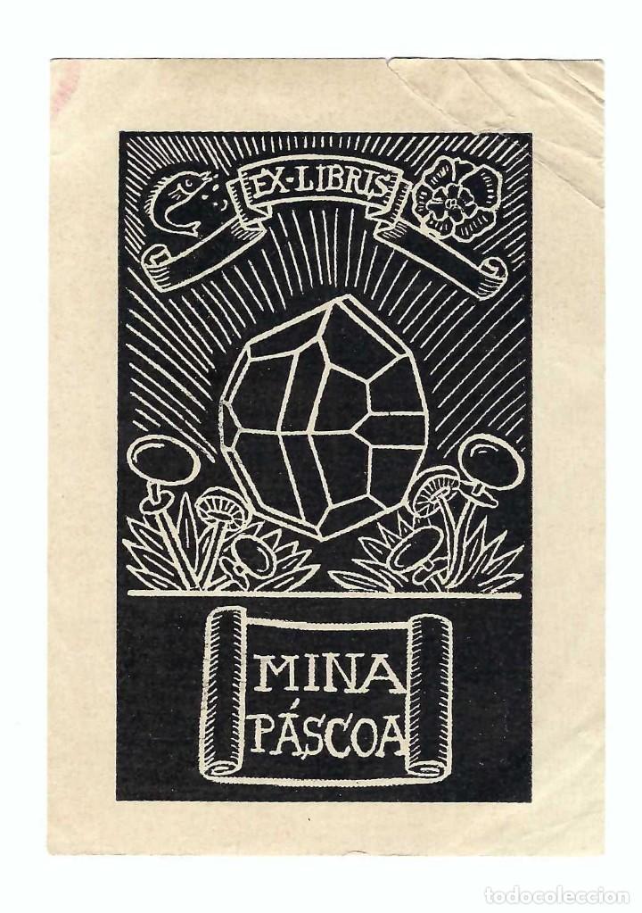 Arte: EX- LIBRIS.- MINA P&Aacute;SCOA. SETAS. ARTE. LIBROS - Foto 1