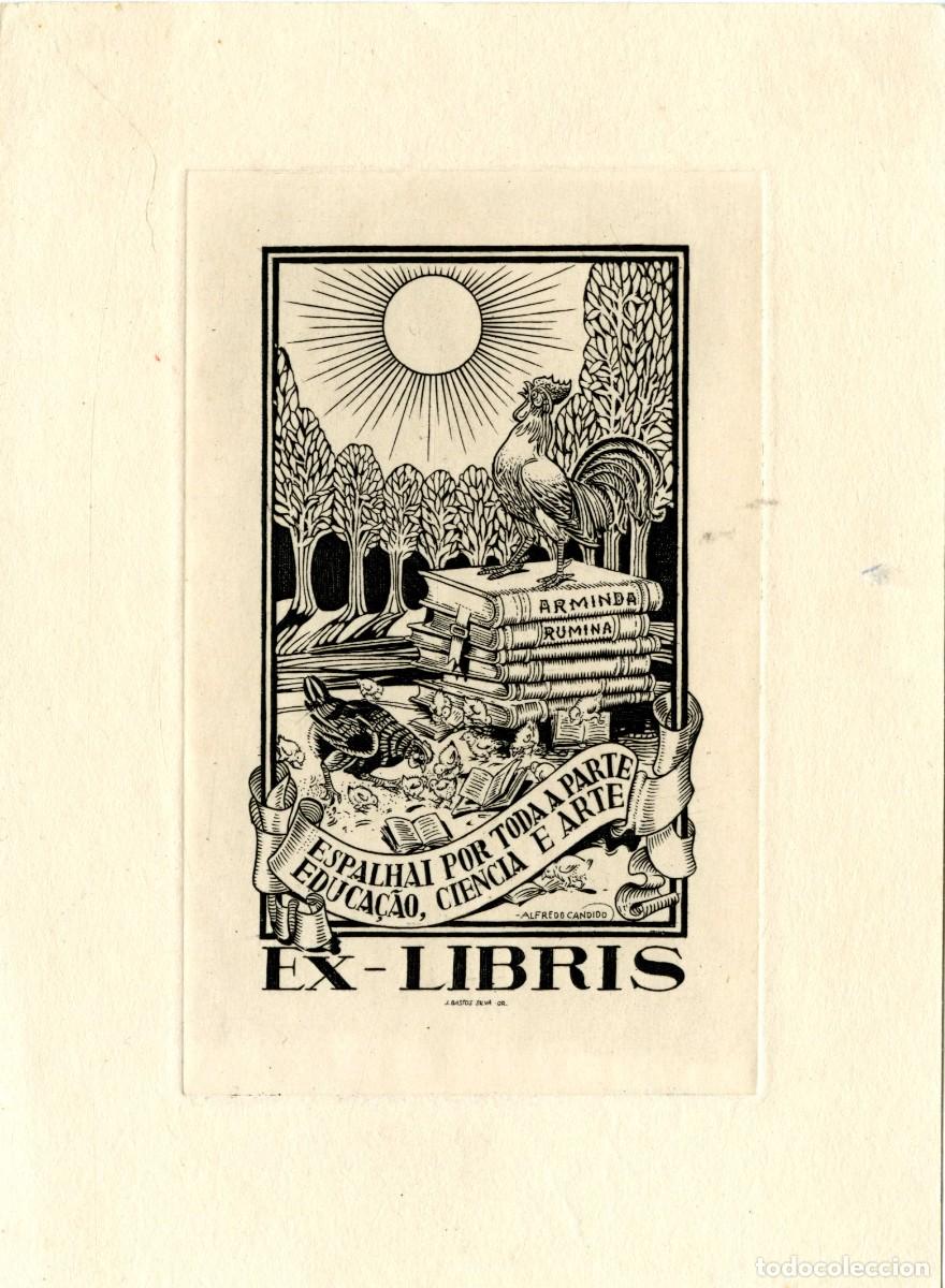 Arte: J. Bastos Silva. Ex Libris Arminda Rumina - Foto 1