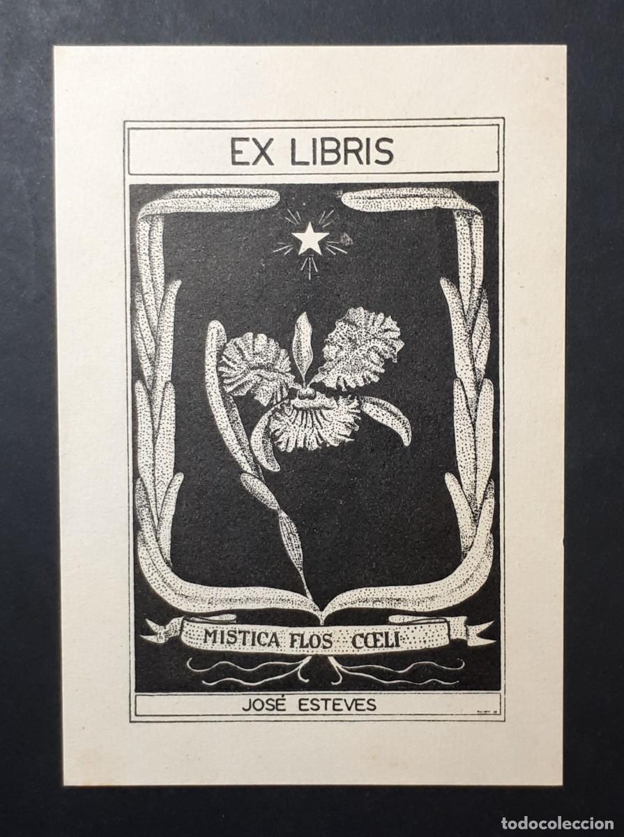 Arte: EX- LIBRIS.- JOS&Eacute; ESTEVES. FLORES. ARTE. LIBROS - Foto 1