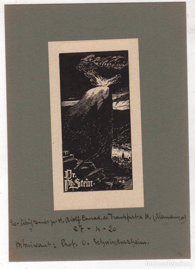 Arte: EXLIBRIS DR. PH. STEIN. ALEMANIA. A&Ntilde;O 1920 - Foto 1