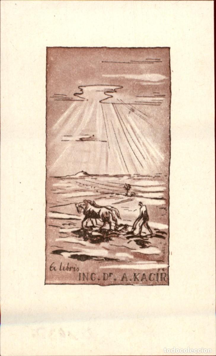Arte: Ing Dr. A. Kacir 10 x 6 cms &ndash; Ex Libris, Bookplate, Exlibris - Foto 2