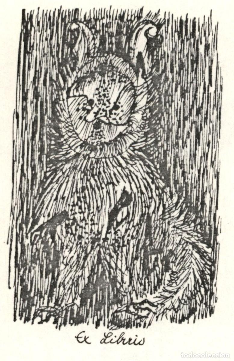Arte: 12 x 8 Cms Exlibris Bookplate Ex-Libris - Foto 1