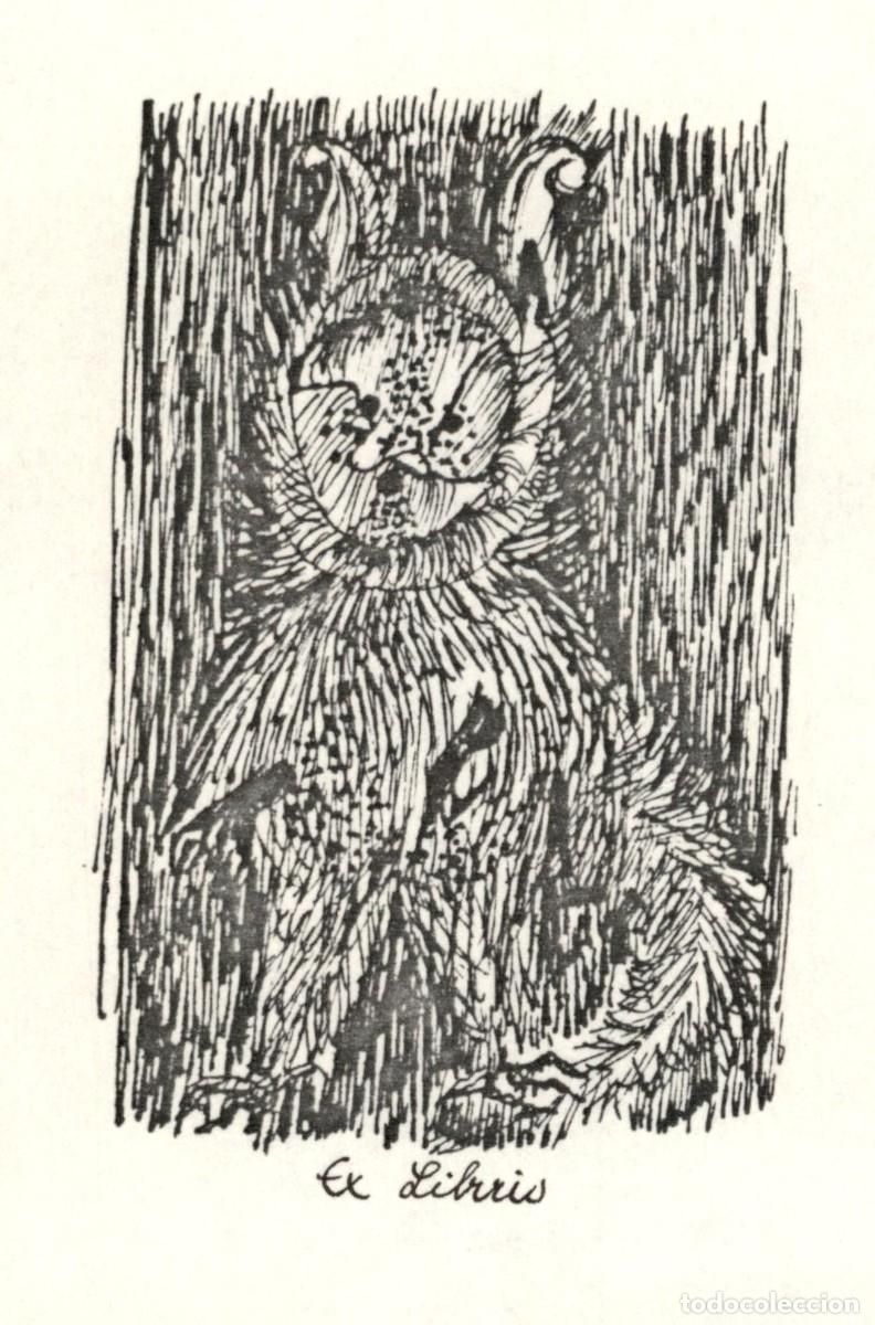 Arte: 12 x 8 Cms Exlibris Bookplate Ex-Libris - Foto 2