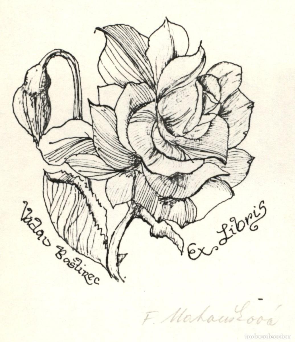 Arte: Vadau Bastinec 12 x 8 Cms Exlibris Bookplate Ex-Libris - Foto 1