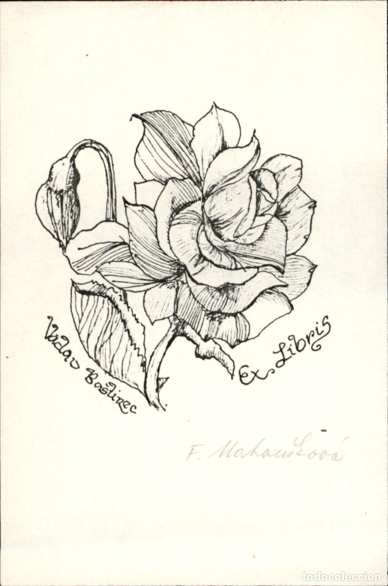 Arte: Vadau Bastinec 12 x 8 Cms Exlibris Bookplate Ex-Libris - Foto 2